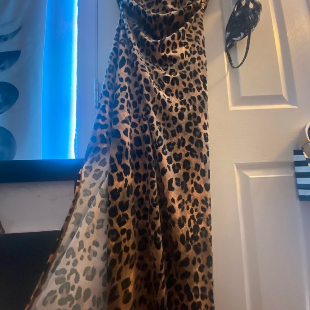 Leopard Print Maxi Dress